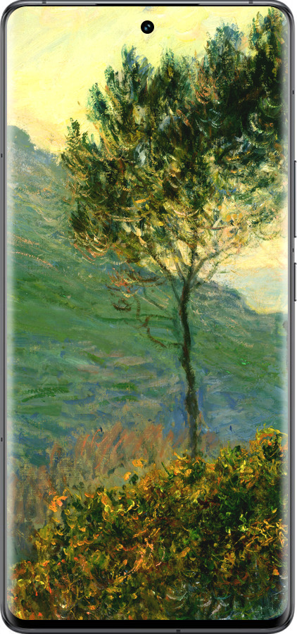 Силиконовый чехол Клод Моне для Vivo IQOO 12 PRO - 1193u-3420 изображение 