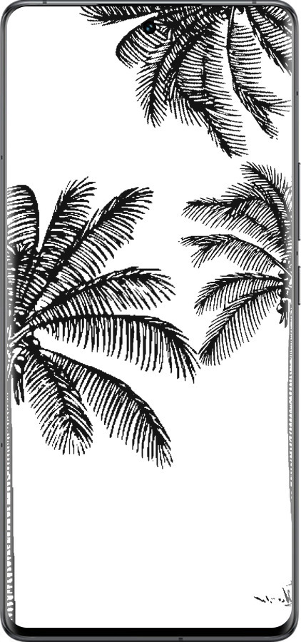 Силиконовый чехол Пальмы1 для Vivo IQOO 12 PRO - 4634u-3420 изображение 
