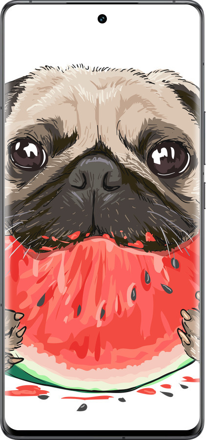 Силіконовий чехол Мопс і кавун для Vivo IQOO 12 PRO - 4665u-3420 изображение 