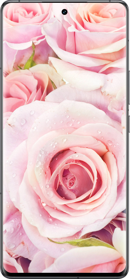 Силіконовий чехол Троянди для Vivo IQOO 12 PRO - 525u-3420 изображение 