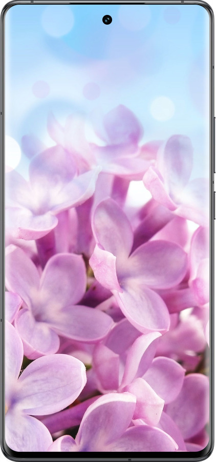 Силиконовый чехол Сирень для Vivo IQOO 12 PRO - 527u-3420 изображение 