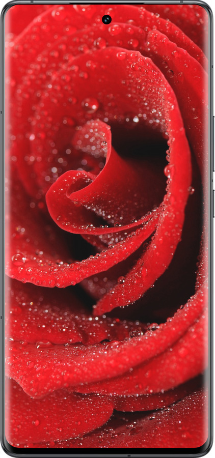 Силиконовый чехол Красная роза для Vivo IQOO 12 PRO - 529u-3420 изображение 