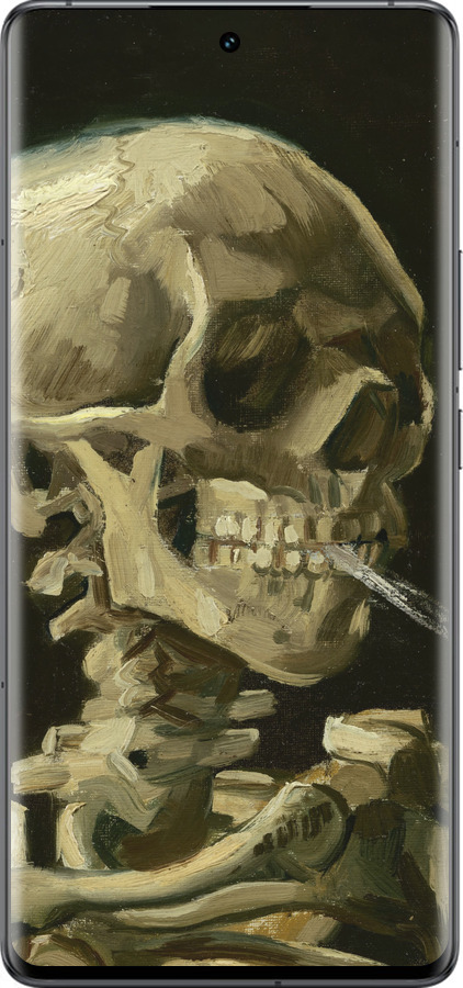 Силиконовый чехол Винсент Ван Гог. Череп для Vivo IQOO 12 PRO - 5544u-3420 изображение 