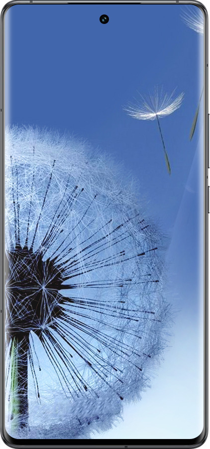 Силиконовый чехол Одуванчик для Vivo IQOO 12 PRO - 6005u-3420 изображение 