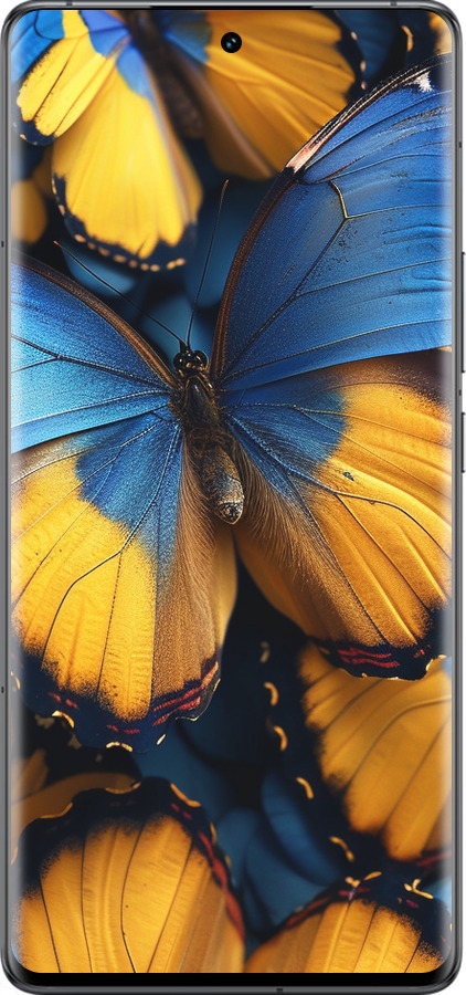 Силиконовый чехол Желто-голубые бабочки для Vivo IQOO 12 PRO - 6046u-3420 изображение 