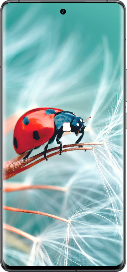 Силиконовый чехол Божья коровка для Vivo IQOO 12 PRO - 6049u-3420 изображение 