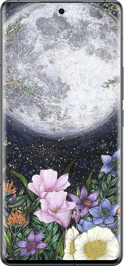 Силіконовий чехол Північ у саду II для Vivo IQOO 12 PRO - 6424u-3420 изображение 