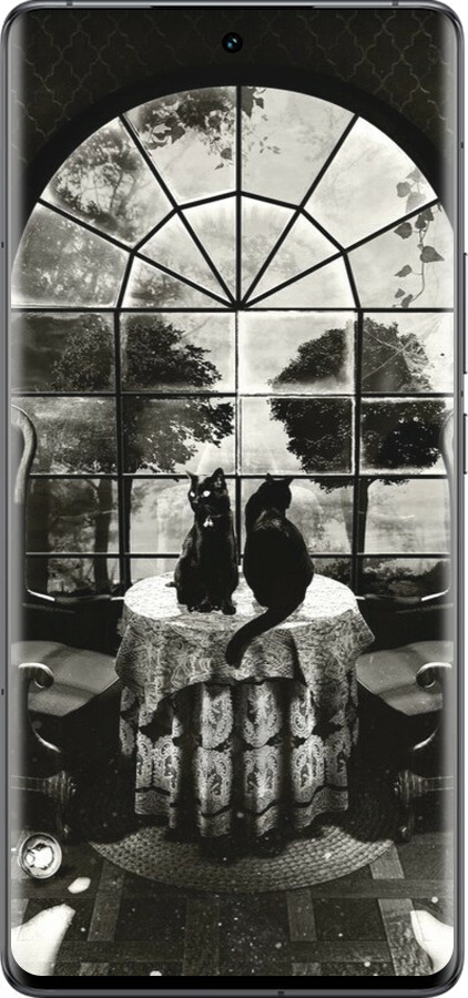 Силиконовый чехол Череп и коты для Vivo IQOO 12 PRO - 6432u-3420 изображение 