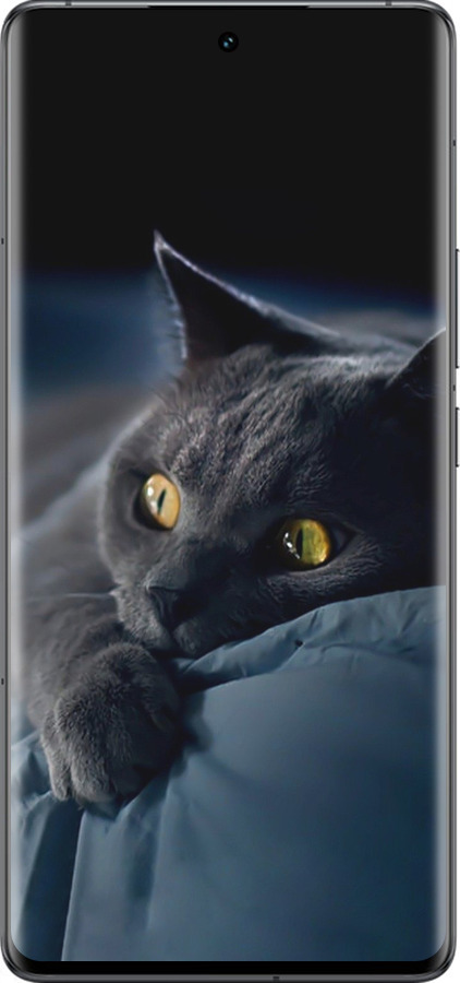 Силиконовый чехол Дымчатый кот для Vivo IQOO 12 PRO - 825u-3420 изображение 