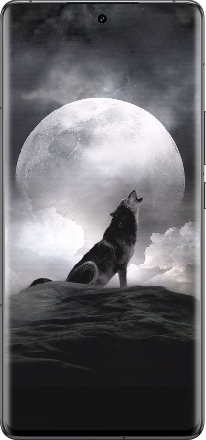 Силиконовый чехол Воющий волк для Vivo IQOO 12 PRO - 934u-3420 изображение 