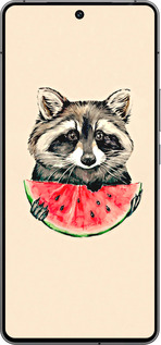 Силиконовый чехол Енотик с арбузом для Vivo iQOO 12 - 4605u-3433 изображение 