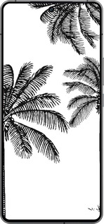Силиконовый чехол Пальмы1 для Vivo iQOO 12 - 4634u-3433 изображение 