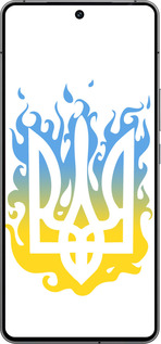 Силиконовый чехол Герб v1 для Vivo iQOO 12 - 5258u-3433 изображение 