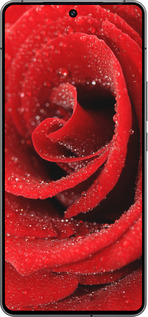 Силиконовый чехол Красная роза для Vivo iQOO 12 - 529u-3433 изображение 