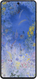 Силіконовий чехол Білокур для Vivo iQOO 12 - 5908u-3433 изображение 