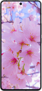 Силиконовый чехол Сакура для Vivo iQOO 12 - 6029u-3433 изображение 