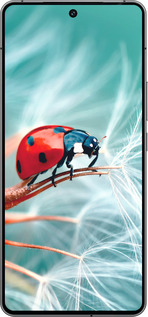 Силиконовый чехол Божья коровка для Vivo iQOO 12 - 6049u-3433 изображение 