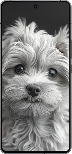 Силиконовый чехол Мальтипу на чорном фоне для Vivo iQOO 12 - 6156u-3433 изображение 