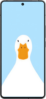 Силиконовый чехол Гусь для Vivo iQOO 12 - 6350u-3433 изображение 