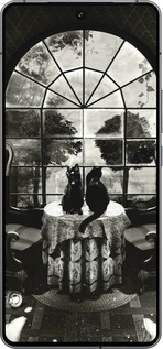 Силиконовый чехол Череп и коты для Vivo iQOO 12 - 6432u-3433 изображение 