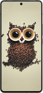 Силиконовый чехол Сова из кофе для Vivo iQOO 12 - 777u-3433 изображение 