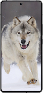 Силиконовый чехол Бегущий волк для Vivo iQOO 12 - 826u-3433 изображение 