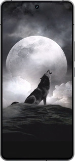 Силиконовый чехол Воющий волк для Vivo iQOO 12 - 934u-3433 изображение 