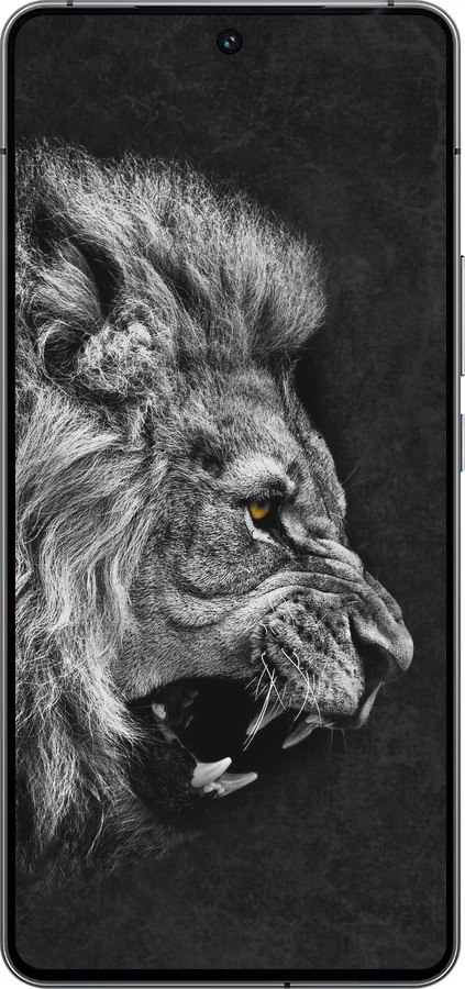 Силиконовый чехол Лев для Vivo iQOO 12 - 1080u-3433 изображение 