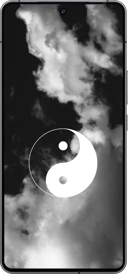 Силиконовый чехол Инь и Янь для Vivo iQOO 12 - 4389u-3433 изображение 