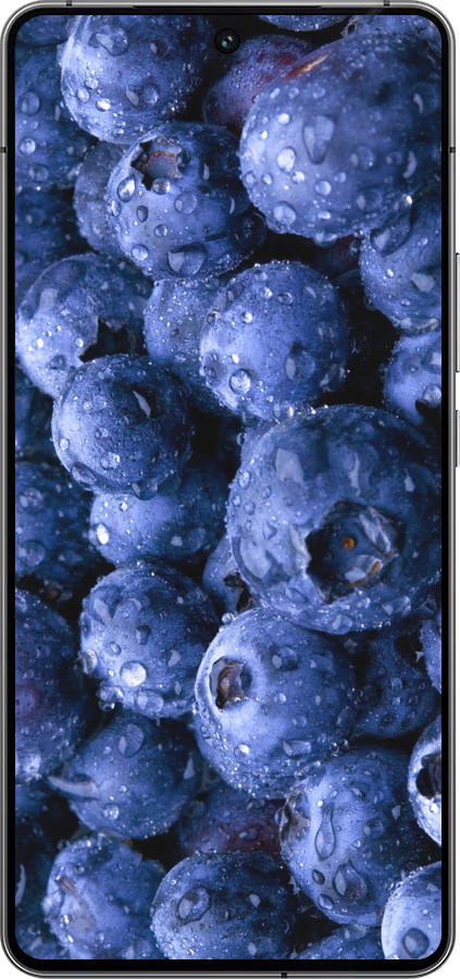 Силиконовый чехол Голубика для Vivo iQOO 12 - 4459u-3433 изображение 