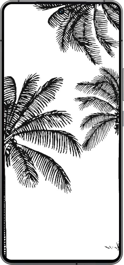 Силиконовый чехол Пальмы1 для Vivo iQOO 12 - 4634u-3433 изображение 