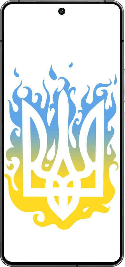 Силиконовый чехол Герб v1 для Vivo iQOO 12 - 5258u-3433 изображение 