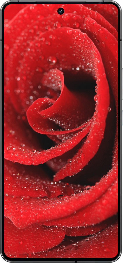 Силиконовый чехол Красная роза для Vivo iQOO 12 - 529u-3433 изображение 