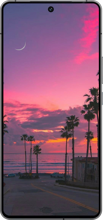 Силиконовый чехол Пальмы для Vivo iQOO 12 - 5873u-3433 изображение 