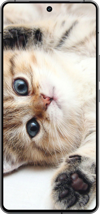 Силиконовый чехол Котик для Vivo iQOO 12 - 6024u-3433 изображение 