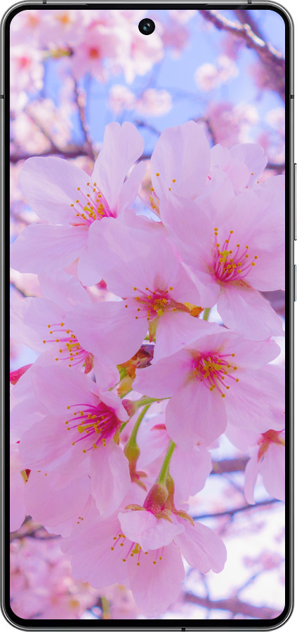 Силиконовый чехол Сакура для Vivo iQOO 12 - 6029u-3433 изображение 