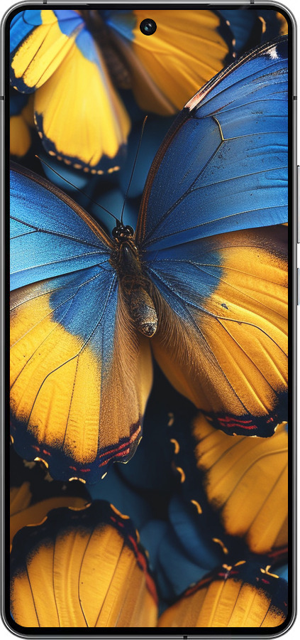 Силиконовый чехол Желто-голубые бабочки для Vivo iQOO 12 - 6046u-3433 изображение 