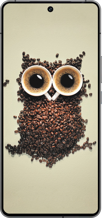 Силиконовый чехол Сова из кофе для Vivo iQOO 12 - 777u-3433 изображение 