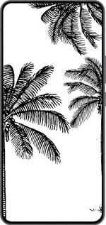 Силиконовый чехол Пальмы1 для Vivo IQOO 13 - 4634u-3913 изображение 