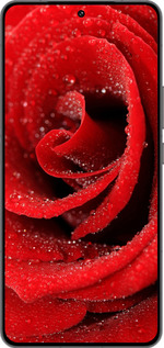 Силиконовый чехол Красная роза для Vivo IQOO 13 - 529u-3913 изображение 