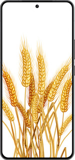 Силиконовый чехол Колоски пшеници для Vivo IQOO 13 - 5866u-3913 изображение 
