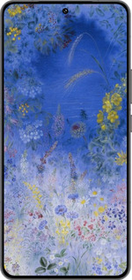 Силиконовый чехол Билокур для Vivo IQOO 13 - 5908u-3913 изображение 