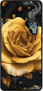 Силиконовый чехол Black snake and golden rose для Vivo IQOO 13 - 6068u-3913 изображение 