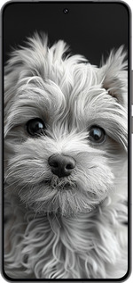 Силиконовый чехол Мальтипу на чорном фоне для Vivo IQOO 13 - 6156u-3913 изображение 