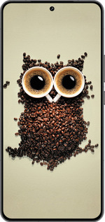Силиконовый чехол Сова из кофе для Vivo IQOO 13 - 777u-3913 изображение 