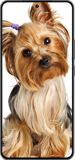 Силиконовый чехол Йоркширский терьер с хвостиком для Vivo IQOO 13 - 930u-3913 изображение 