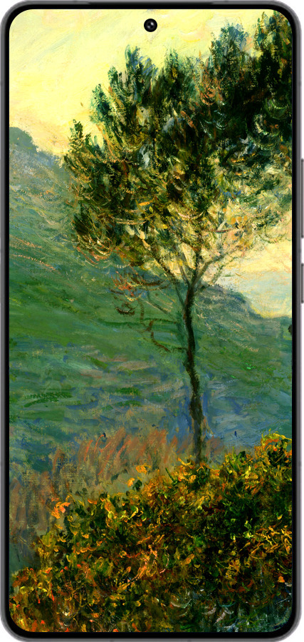 Силиконовый чехол Клод Моне для Vivo IQOO 13 - 1193u-3913 изображение 