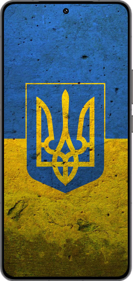 Силиконовый чехол Флаг и герб Украины 2 для Vivo IQOO 13 - 378u-3913 изображение 