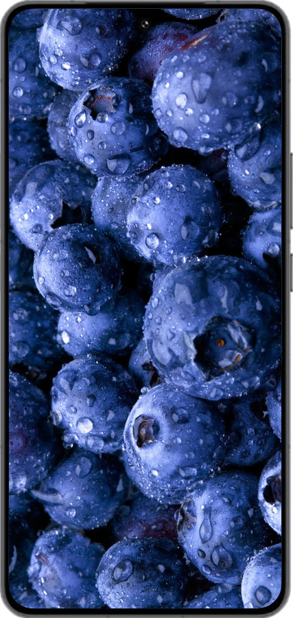 Силіконовий чехол Лохина для Vivo IQOO 13 - 4459u-3913 изображение 