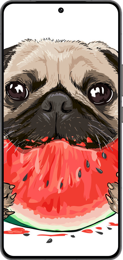 Силиконовый чехол Мопс и арбуз для Vivo IQOO 13 - 4665u-3913 изображение 